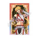 (PO) Dream Meister and the Recollected Black Fairy Shiny Card Collection Vol. 2 [BOX] Image_10