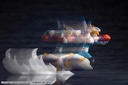 (PO) Mega Man X Falcon Armor Image_13
