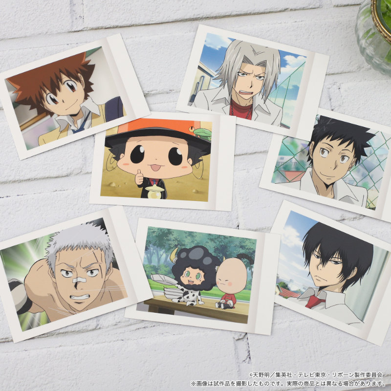 (PO) Reborn! PashaColle Vol. 3 [BOX] Image_3