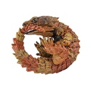 (PO) Animalier Collection 1/1 Knob-tailed Gecko & Ouroborus Cataphractus (Re-issue) [BOX] Image_4