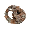 (PO) Animalier Collection 1/1 Knob-tailed Gecko & Ouroborus Cataphractus (Re-issue) [BOX] Image_5