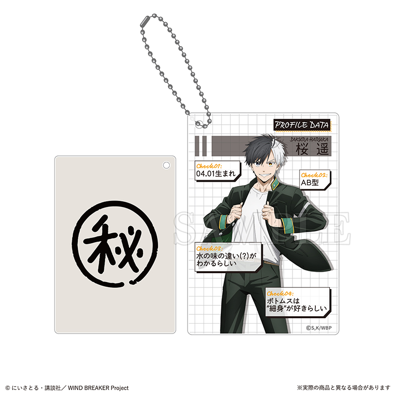 (PO) Wind Breaker Trading Profile Card Key Chain [BOX] Image_7