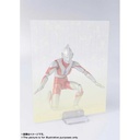 (PO) S.H.Figuarts Ultraman - Ultraman (Repeat Issue) Image_9