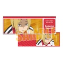 (PO) Trading Ticket Style Card Haikyu!! [BOX] Image_8