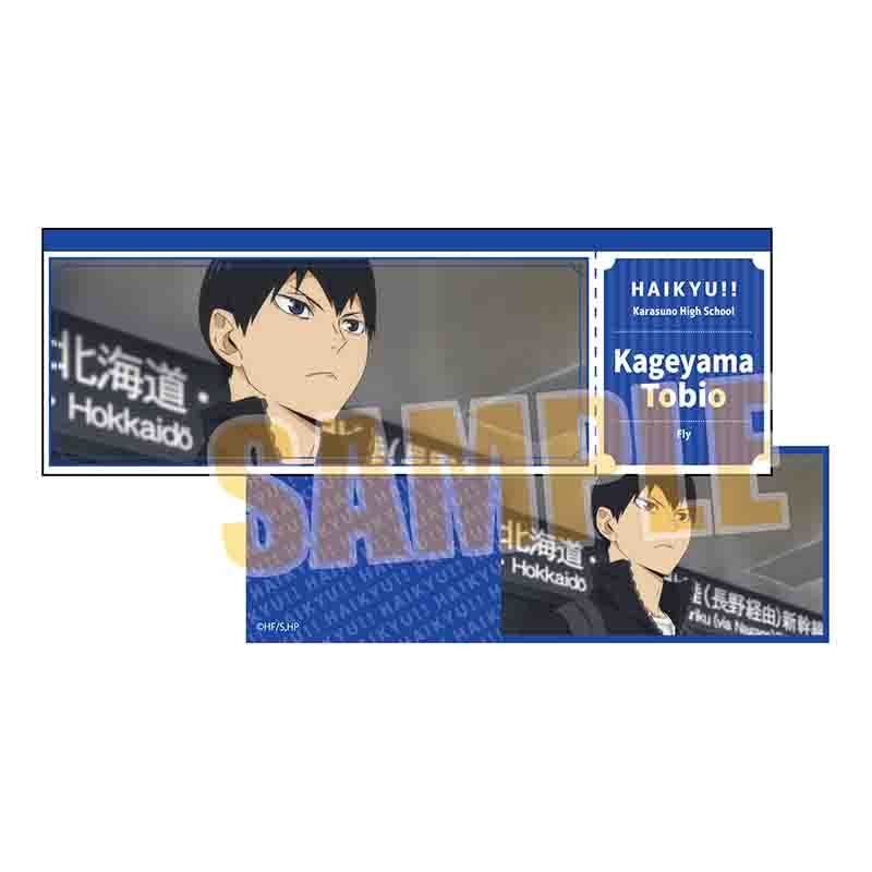 (PO) Trading Ticket Style Card Haikyu!! [BOX] Image_4