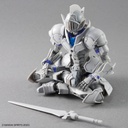 (PO) 30MF Liber Knight Image_4