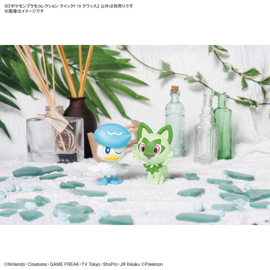 (PO) Pokemon PLAMO Collection Quick! 19 Quaxly Image_8