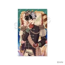 (PO) Promise of Wizard Shiny Card Collection Vol. 1 [BOX] Image_11