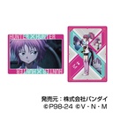 (PO) Plastic Board Collection Hunter x Hunter [BOX] Image_11