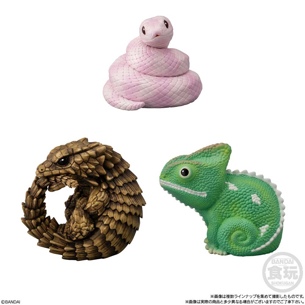 (PO) Friends on Hand 11 Reptiles & Amphibians [BOX] Image_3