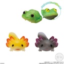 (PO) Friends on Hand 11 Reptiles & Amphibians [BOX] Image_4