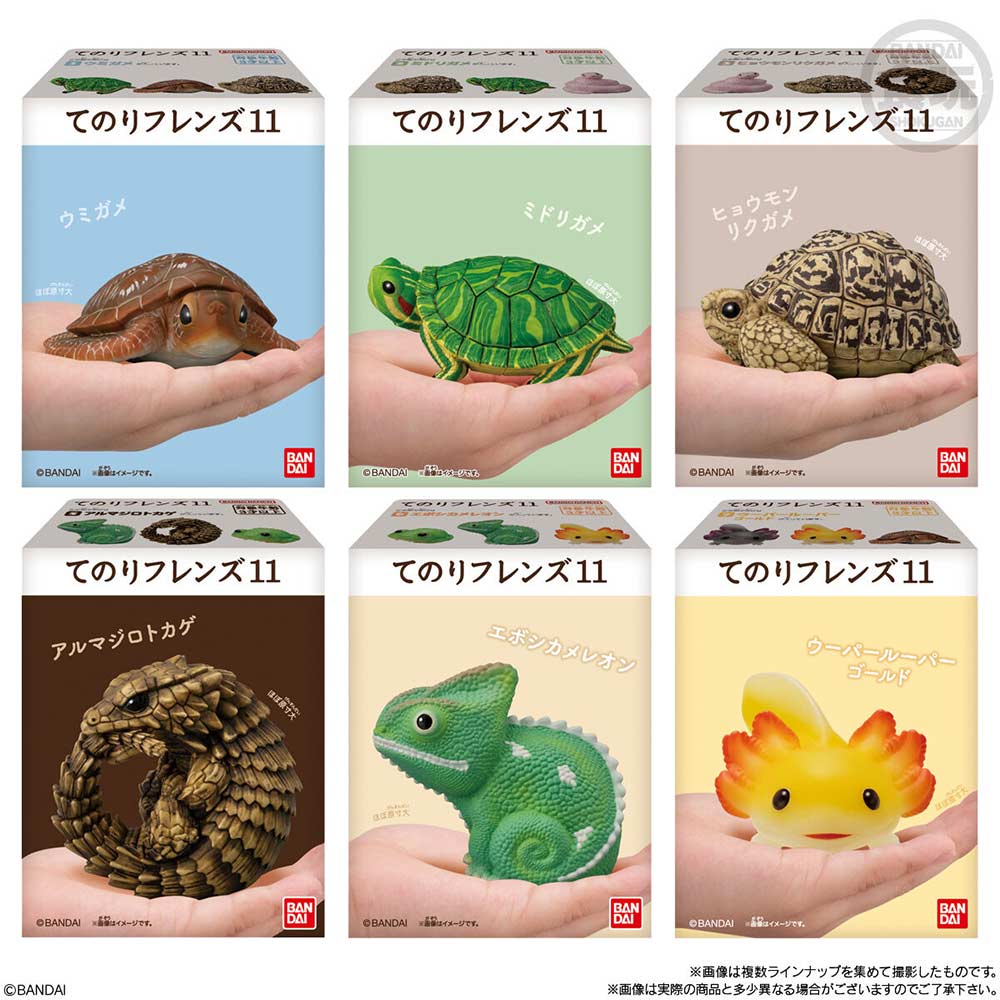 (PO) Friends on Hand 11 Reptiles & Amphibians [BOX] Image_5