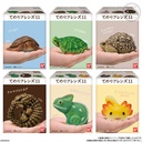 (PO) Friends on Hand 11 Reptiles & Amphibians [BOX] Image_5