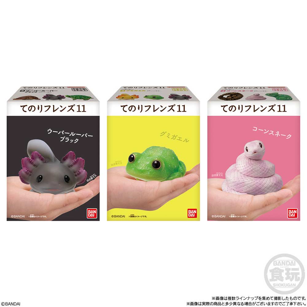 (PO) Friends on Hand 11 Reptiles & Amphibians [BOX] Image_6