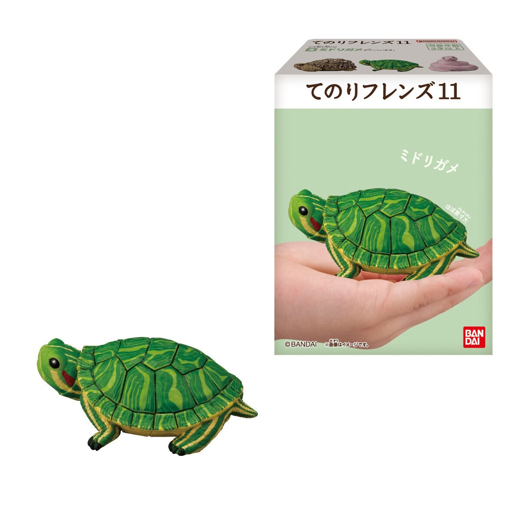 (PO) Friends on Hand 11 Reptiles & Amphibians [BOX] Image_7