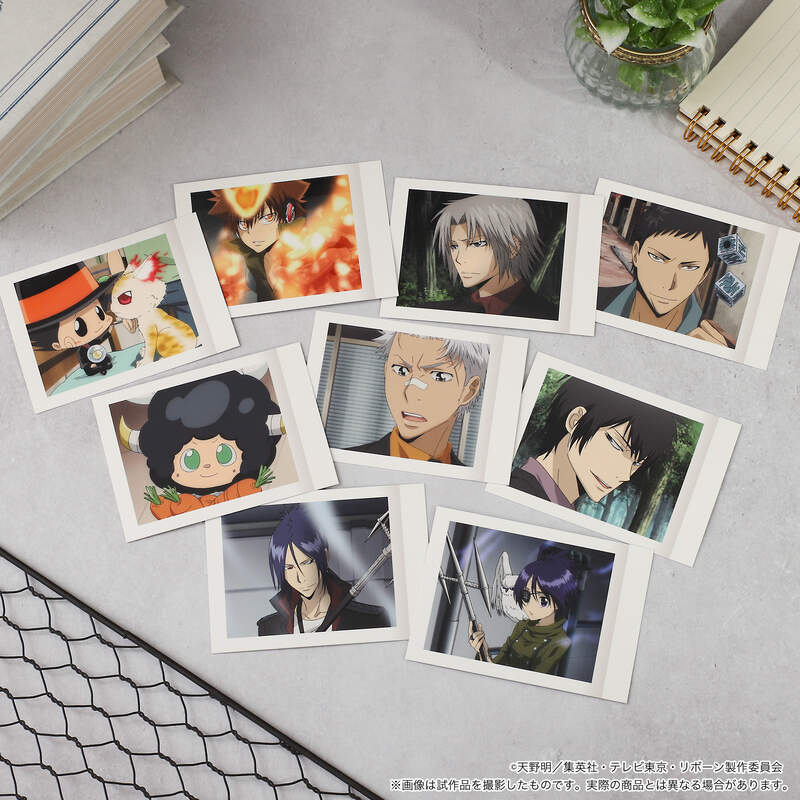 (PO) Reborn! PashaColle Vol. 5 [BOX] Image_3