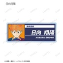 (PO) Haikyu!! Trading Ani-Art Vol. 4 Acrylic Name Plate [BOX] Image_3