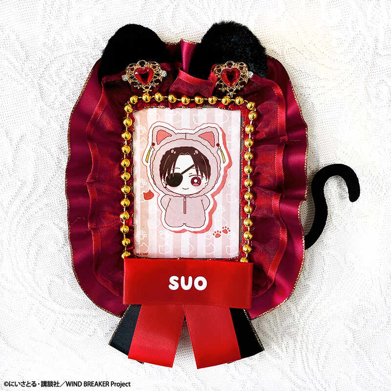 (PO) Wind Breaker Trading Card Case & Card Set Suo Hayato Image_1