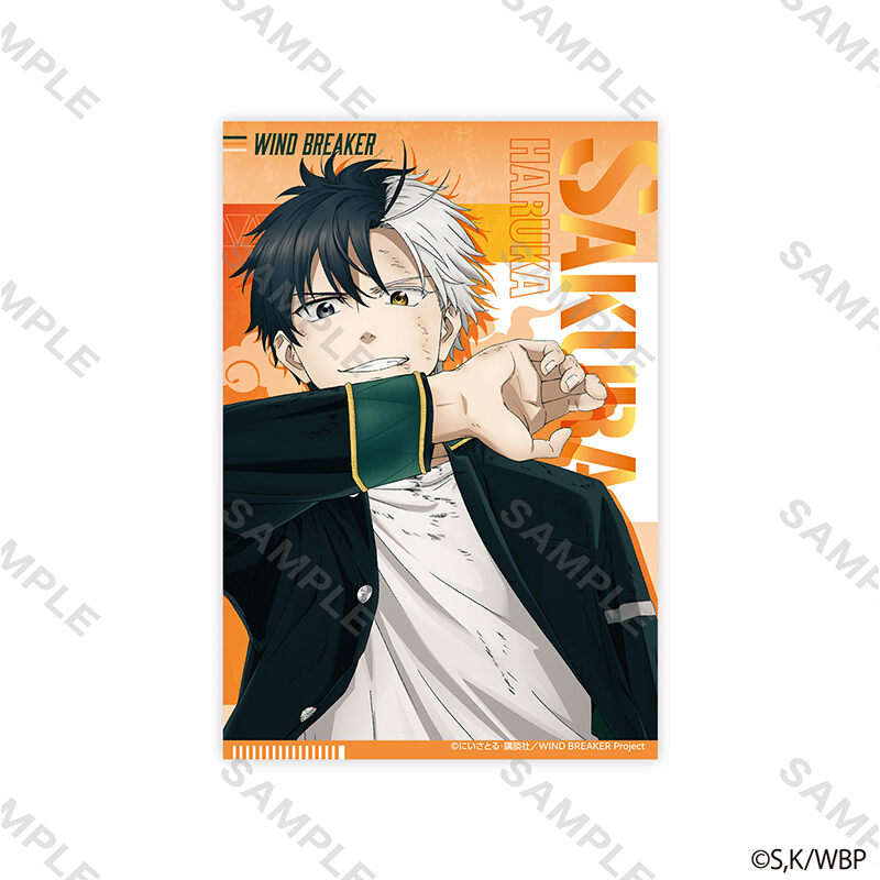 (PO) Wind Breaker Postcard Set Key Visual Image_2