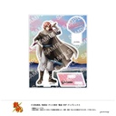 (PO) Gintama Acrylic Stand F Kamui U91 23I 040 Image_1