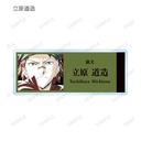 (PO) Bungo Stray Dogs Trading Ani-Art Vol. 3 Acrylic Name Plate Ver. B [BOX] Image_7