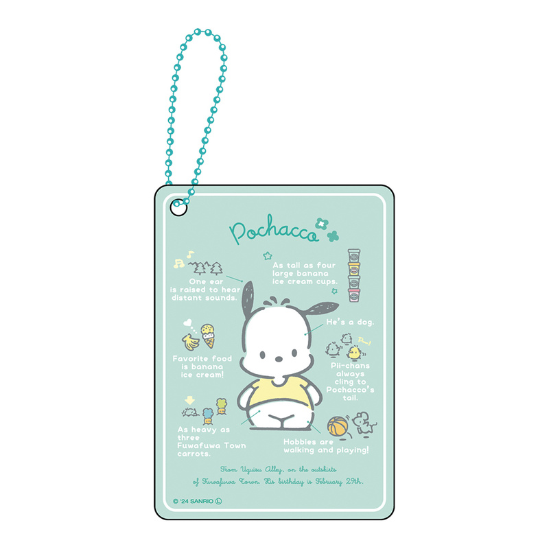 (PO) Sanrio Characters Secret Clear Card Key Chain Profile [BOX] Image_5