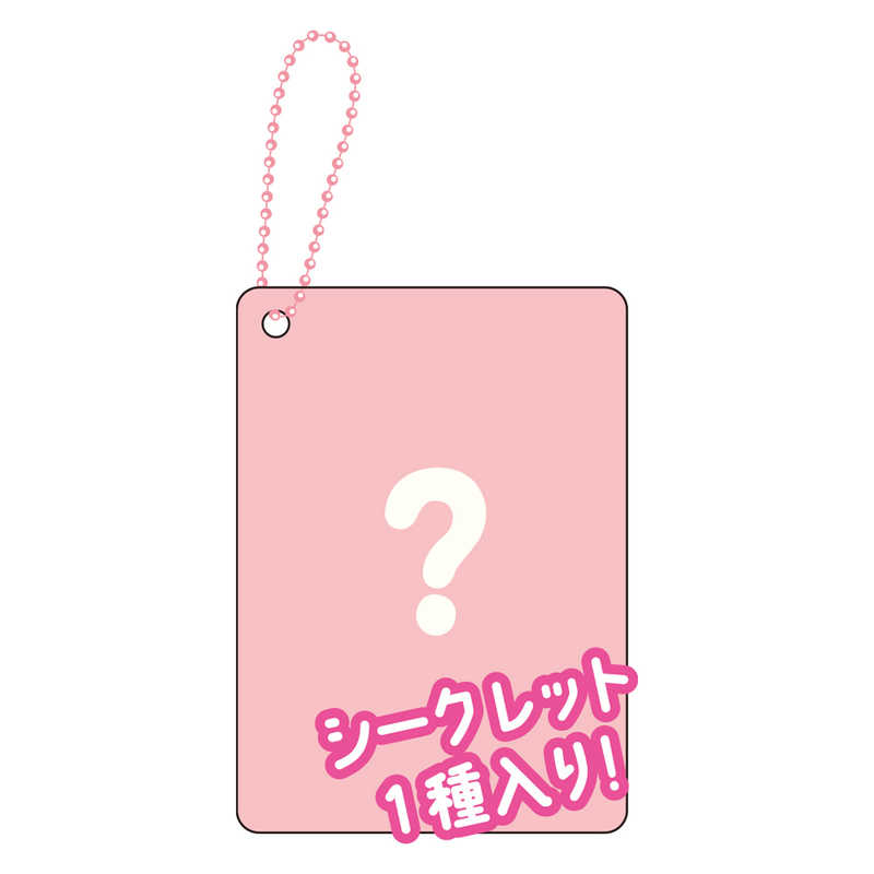 (PO) Sanrio Characters Secret Clear Card Key Chain Profile [BOX] Image_13