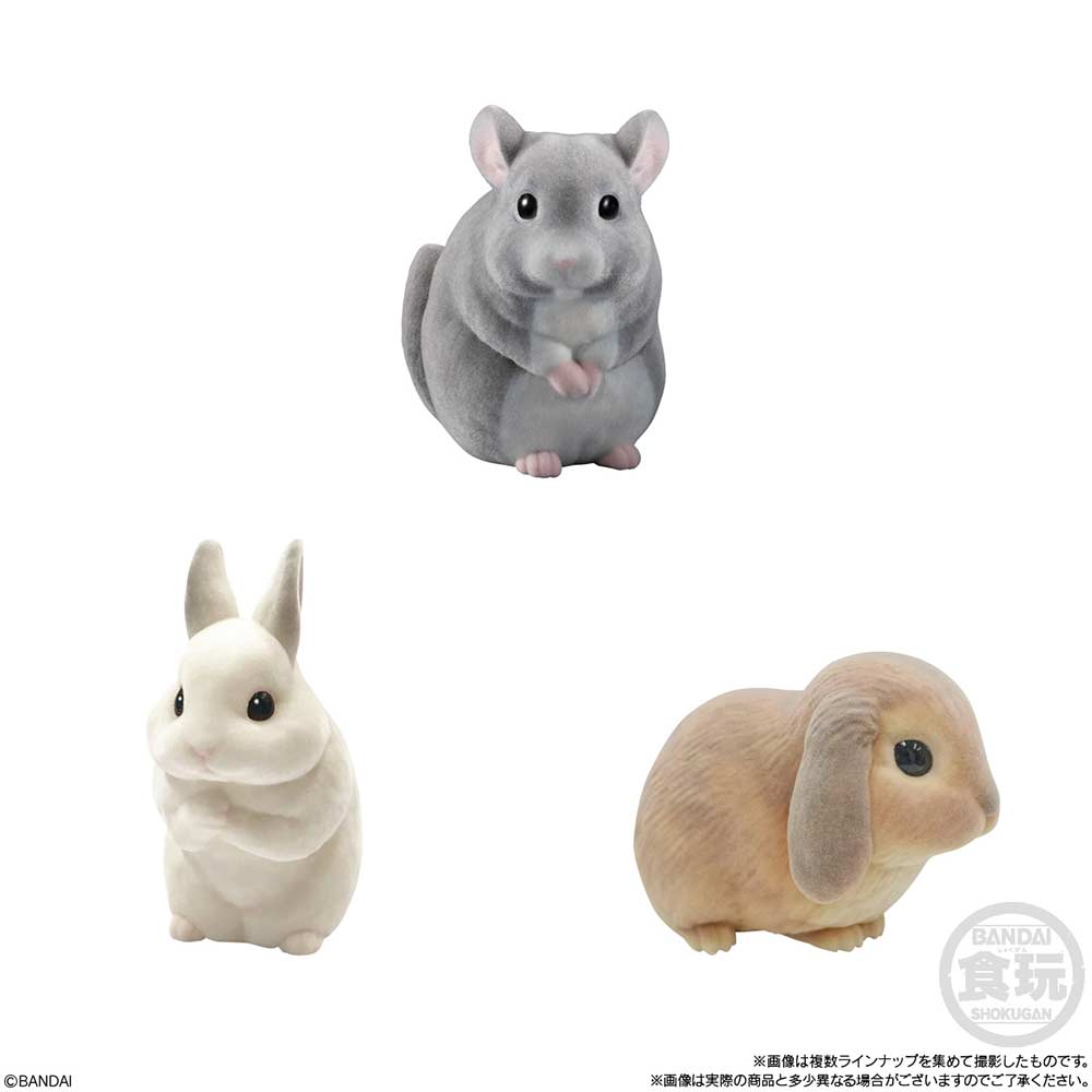 (PO) Mofumofu Tenori Friends 2 -Small Animals- [BOX] Image_3
