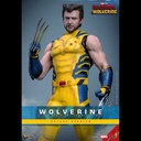 (PO) Movie Masterpiece Series MMS754 - Deadpool & Wolverine - Wolverine (Deluxe Version)  Image_2