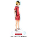 (PO) Haikyu!! Acrylic Stand 1 6 Kozume Kenma Image_1