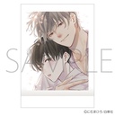 (PO) Hakusensha After Midnight Skin PashaColle [BOX] Image_2