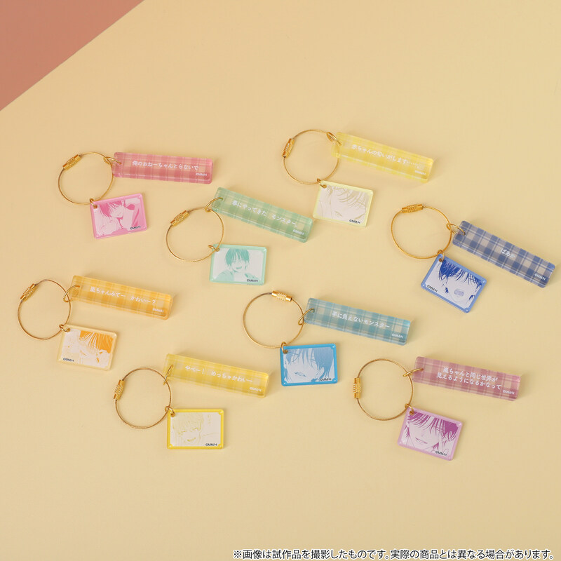 (PO) Spring Storm and Monster Memorial Plate Key Chain [BOX] Image_1
