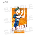 Haikyu! Trading Ani-Art Acrylic Stand Vol. 2 [BOX] Image_10