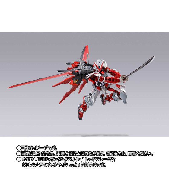 Metal Build Gundam Seed Aile Striker (P Bandai) Image_5