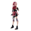(PO) Naruto Gals - Naruto Shippuden Haruno Sakura ver.2 (6) Image_6
