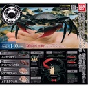 The Diversity of Life on Earth - Crab Image_1