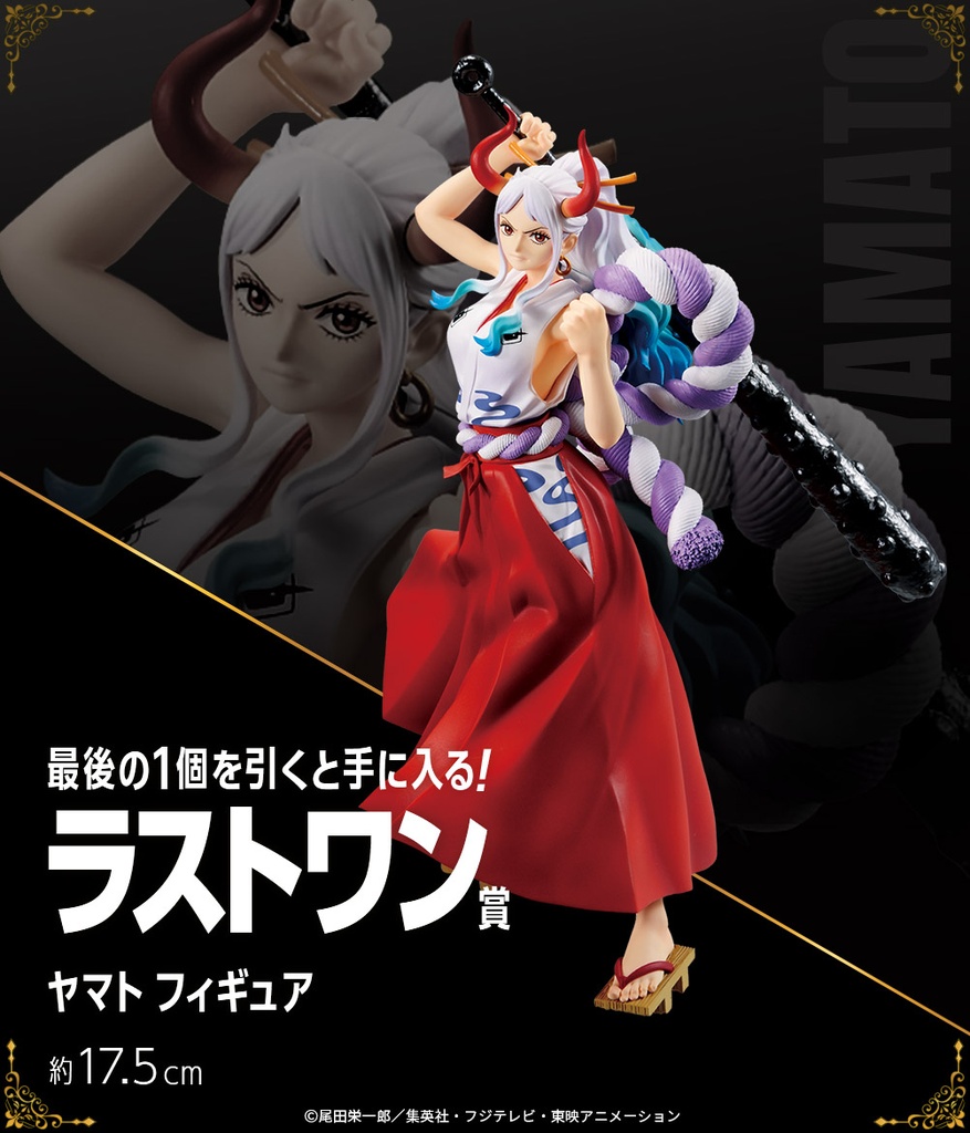 Ichiban Kuji - One Piece vol.100 Anniversary (Full ctn of 80 tickets) Image_16