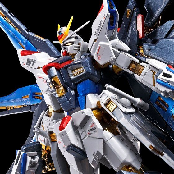 RG Mobile Suit Gundam Seed - Strike Freedom Gundam (Titanium Finish) Image_1
