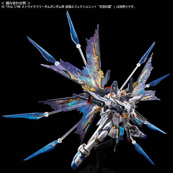 RG Mobile Suit Gundam Seed - Strike Freedom Gundam (Titanium Finish) Image_7