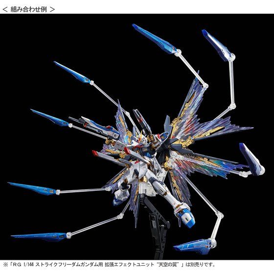 RG Mobile Suit Gundam Seed - Strike Freedom Gundam (Titanium Finish) Image_9