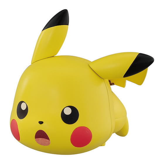 Capchara Pokemon 13 Image_5