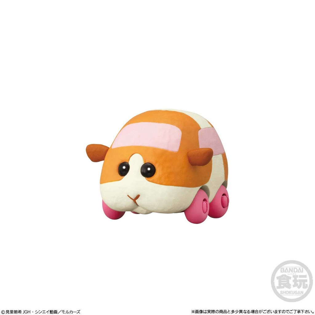 PUI PUI Molcar Korokoro Friends Image_3