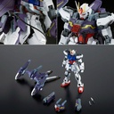 MG 1/100 Gundam Seed MSV - Lighting Strike Gundam ver.RM (P Bandai) Image_9