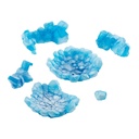 Gashapon Collection Effect Series Ver. 1.5 Image_5