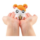 Capchara Tottoko Hamutaro Image_2