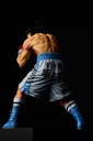 (PO) Hajime no Ippo - Makunouchi Ippo Fighting Pose Image_14