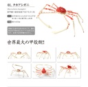 The Diversity of Life on Earth - Crab 2 Image_2