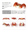 The Diversity of Life on Earth - Crab 2 Image_4
