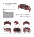 The Diversity of Life on Earth - Crab 2 Image_5