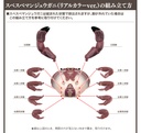 The Diversity of Life on Earth - Crab 2 Image_7